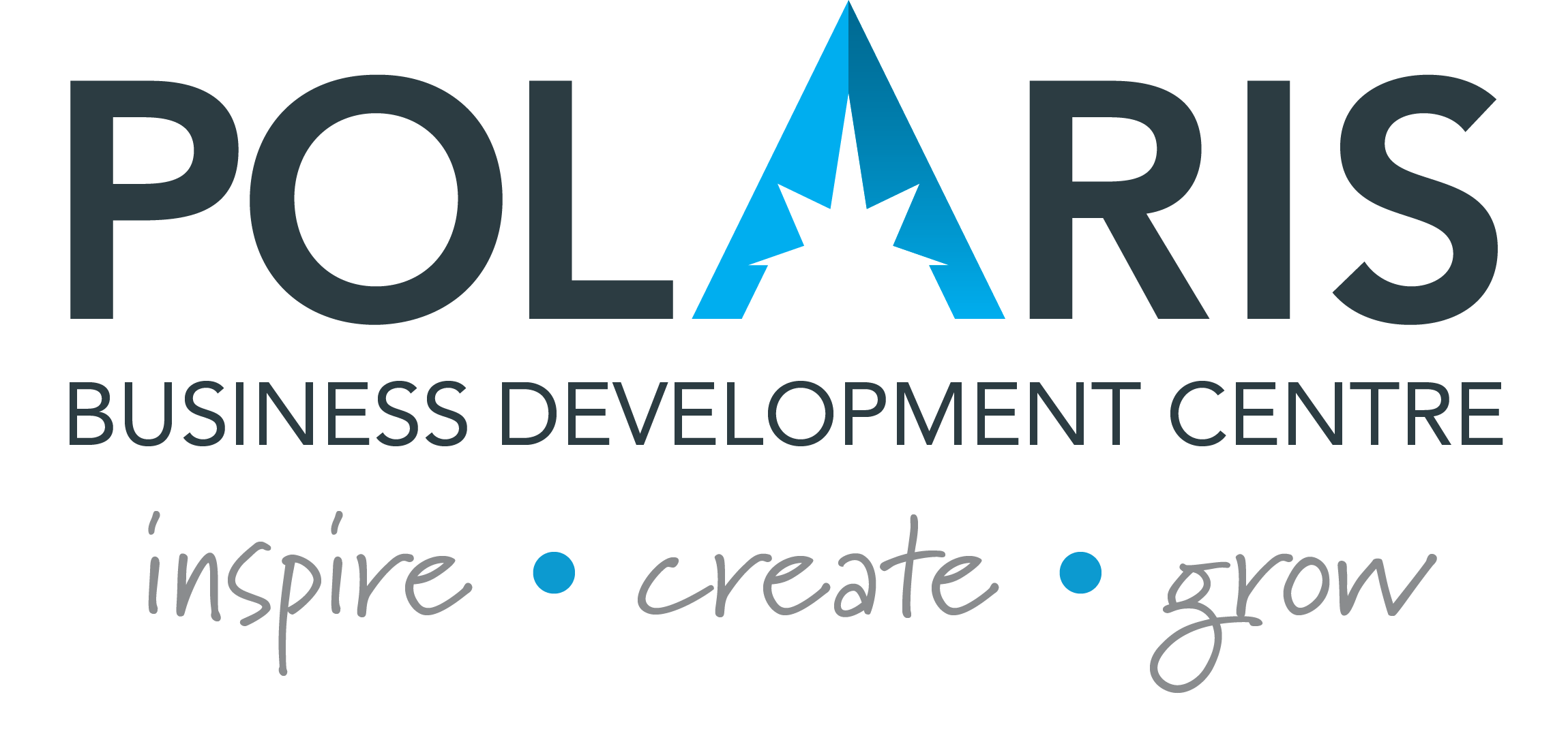 Main homepage - Polaris logo